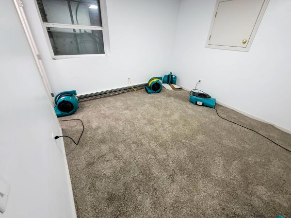 Flood Restoration Service in Gig Harbor